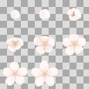 桜 イラスト フリー 透過