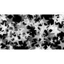 【画像素材】星背景_黒1【クロリク】