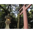 鳥居と灯籠