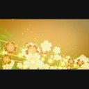 タグ検索 花びら ニコニ コモンズ