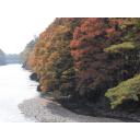 紅葉の川辺（撮影地長野県）