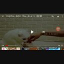 チャオチュールの一部(2)