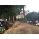 三の丸土塁　幸田門跡