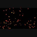 舞い散るカエデの葉 紅葉 ニコニ コモンズ