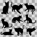 猫のシルエット