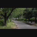 【1080p/24fps】公園の遊歩道①