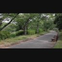 【1080p/24fps】公園の遊歩道②