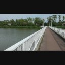 【1080p/24fps】池に掛かる橋（無音素材）
