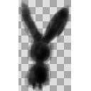 シルエットうさぎ1