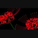 タグ検索 花 ニコニ コモンズ