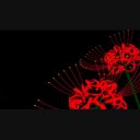 タグ検索 花 ニコニ コモンズ
