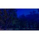 秋の公園（夜）