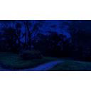 公園の遊歩道（夜）