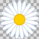 花 マーガレット イラスト アイコン ニコニ コモンズ