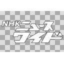 Nhk終了ロゴ 旧ロゴ版 ニコニ コモンズ