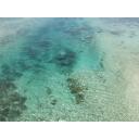 沖縄の海