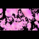 沢山の花びらが舞って画面を覆う桜吹雪風エフェクト