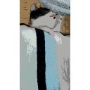 子猫　爆睡２　アニメ風なエフェクトをかけた写真