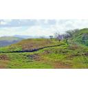 タグ検索 草原 ニコニ コモンズ