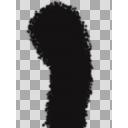 謎の黒い影