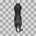 猫吸い黒猫