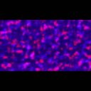 【フリー動画素材】ホラー風ノイズ背景動画10秒