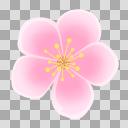 ウメ梅の花のイラスト フリー素材あそび ニコニ コモンズ