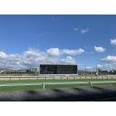 阪神競馬場　ターフビジョン　芝･ダートコース
