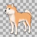 秋田犬 透過png ニコニ コモンズ