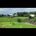 車窓の風景（のどかな街並み）音つき