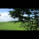 車窓の風景（田園多め）無音