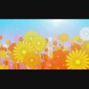 お花畑をふわっと