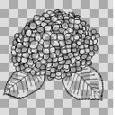 紫陽花 線画 ニコニ コモンズ