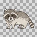 アライグマ イラスト素材 ニコニ コモンズ