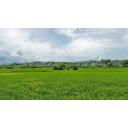 タグ検索 草原 ニコニ コモンズ