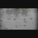 雨の音と水たまりの波紋の映像