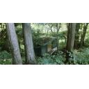 森の中の小屋