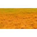 タグ検索 草原 ニコニ コモンズ