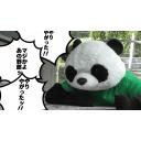 道後山駅で信じられない偉業を見届けたパンダのGIF(台詞あり)