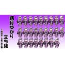 【VOICEROID】結月ゆかり　立ち絵