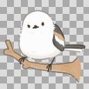 シマエナガ【イラスト素材】