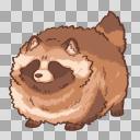 たぬき_6