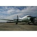 YS-11@岐阜基地(2010年10月16日撮影)