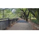 公園の遊歩道