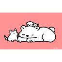 ぽーらーどっぐ