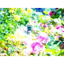 【背景素材141】私の中にある世界