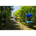 新緑の登山リフト