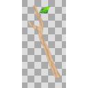 なんかいい感じの木の枝