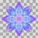 花十字B