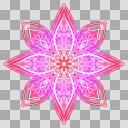 花十字C